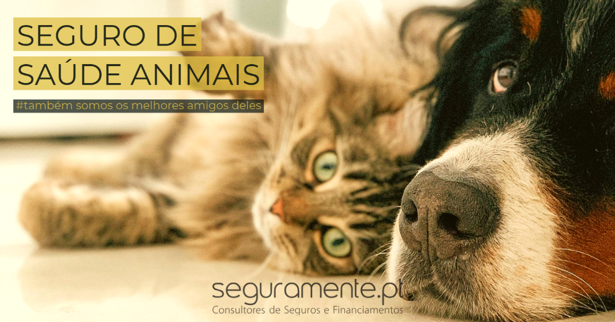Simulação Seguro Saúde Animais Cãe e Gato